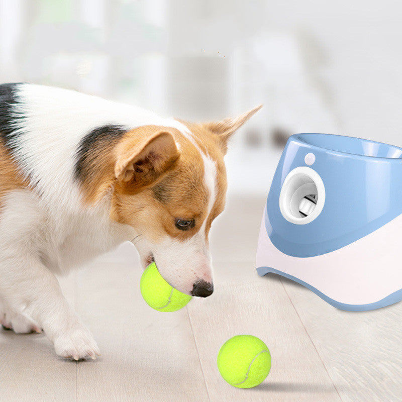 Pet Thrower Elastic Tennis Launcher