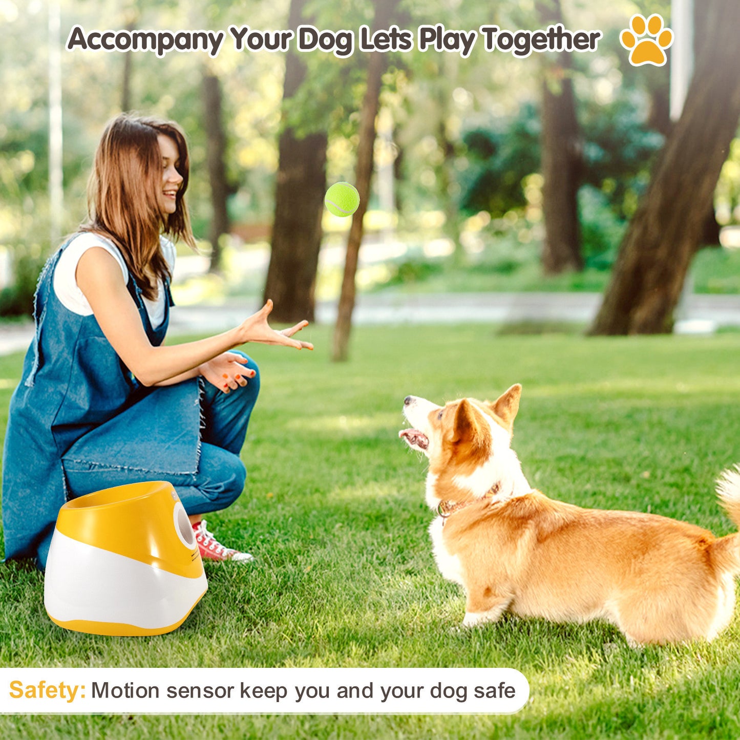 Pet Thrower Elastic Tennis Launcher